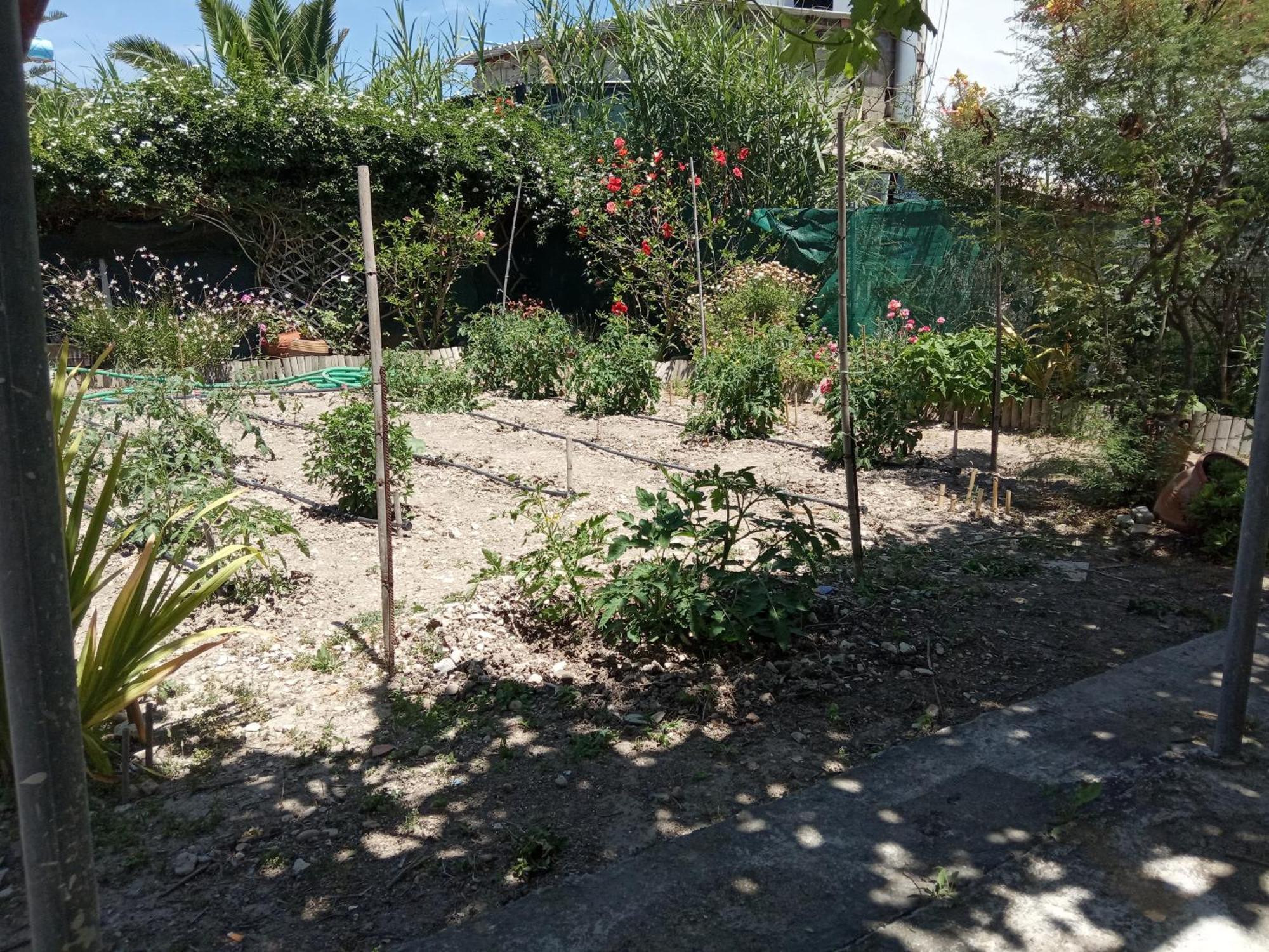 Dora's House Holiday home Katarraktis (Chios)